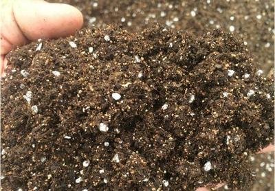 t01a9863274c5b0dc43.jpg t01a9863274c5b0dc43.jpg