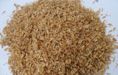 t0170ac726123f4b117.jpg t0170ac726123f4b117.jpg