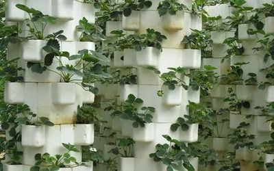 t0197b00a160523147f.jpg t0197b00a160523147f.jpg