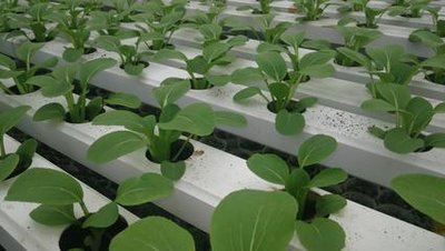 t01f1f714f972edd508.jpg t01f1f714f972edd508.jpg