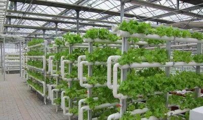 t01957631a13e33c017.jpg t01957631a13e33c017.jpg