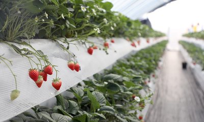 t031f4dff3241b46b3b.jpg t031f4dff3241b46b3b.jpg