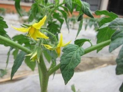 t03878fe9a0176cbb22.jpg t03878fe9a0176cbb22.jpg