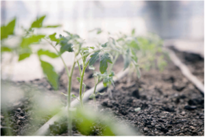 t01c129f0ab0c0f1f8e.png t01c129f0ab0c0f1f8e.png