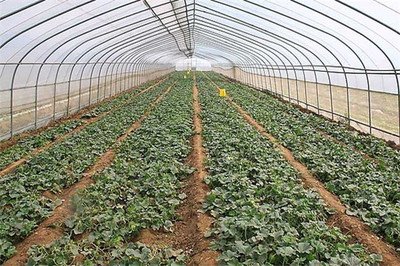 t0124f0bcfa6718d3e2.jpg t0124f0bcfa6718d3e2.jpg