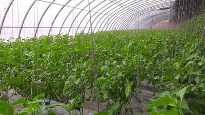 t01309442bbbff1a9dd.png t01309442bbbff1a9dd.png