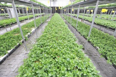 t014644f47d5ad29dd1.jpg t014644f47d5ad29dd1.jpg