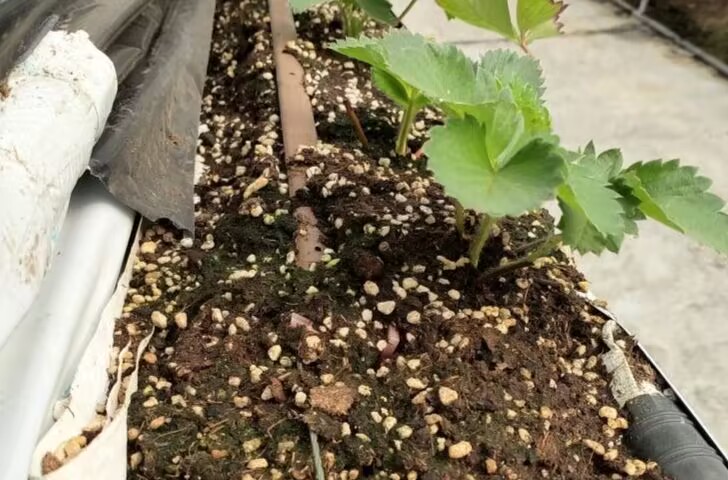 EBBE6848DD6D153DCD1402ABE5640A9F.jpg EBBE6848DD6D153DCD1402ABE5640A9F.jpg