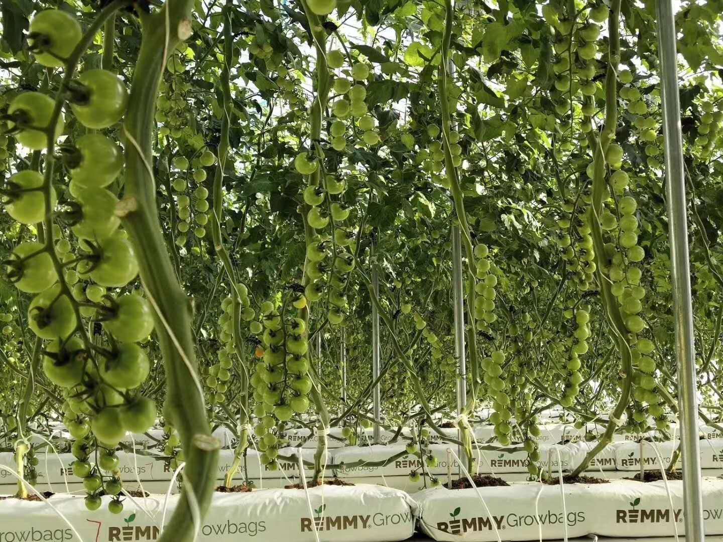 64a5444d-da88-4b25-810c-071370e10f9b.jpg 64a5444d-da88-4b25-810c-071370e10f9b.jpg