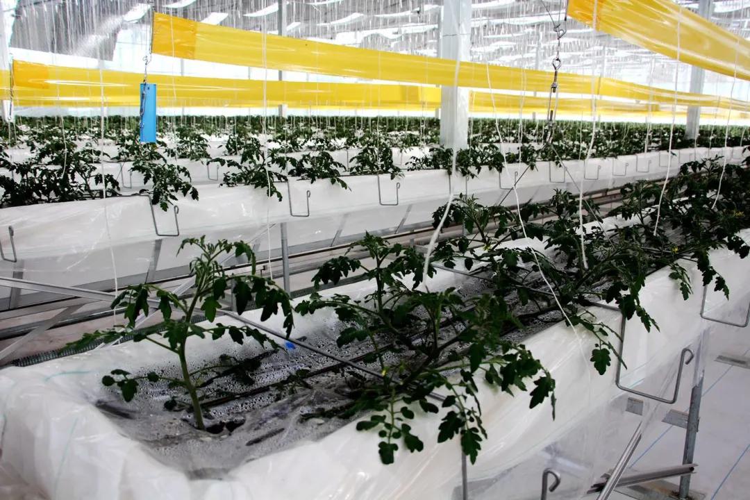 fac4de5411c21e15a1cee1985717a497472622be.jpg fac4de5411c21e15a1cee1985717a497472622be.jpg