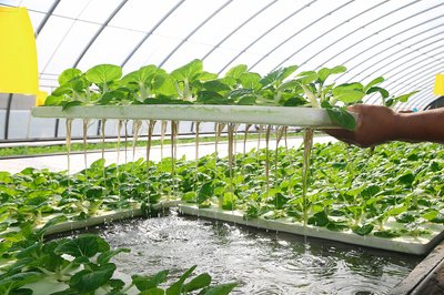 t01ccc5ecadb9c0b4b7.jpg t01ccc5ecadb9c0b4b7.jpg