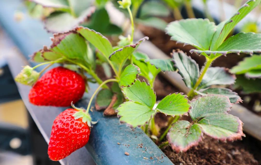 W020230419332244578365.jpg W020230419332244578365.jpg