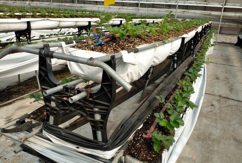 Screenshot_20231003_093422.jpg Screenshot_20231003_093422.jpg