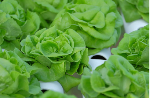 062033f68c699a131f0df687d6aee8d7.png 062033f68c699a131f0df687d6aee8d7.png