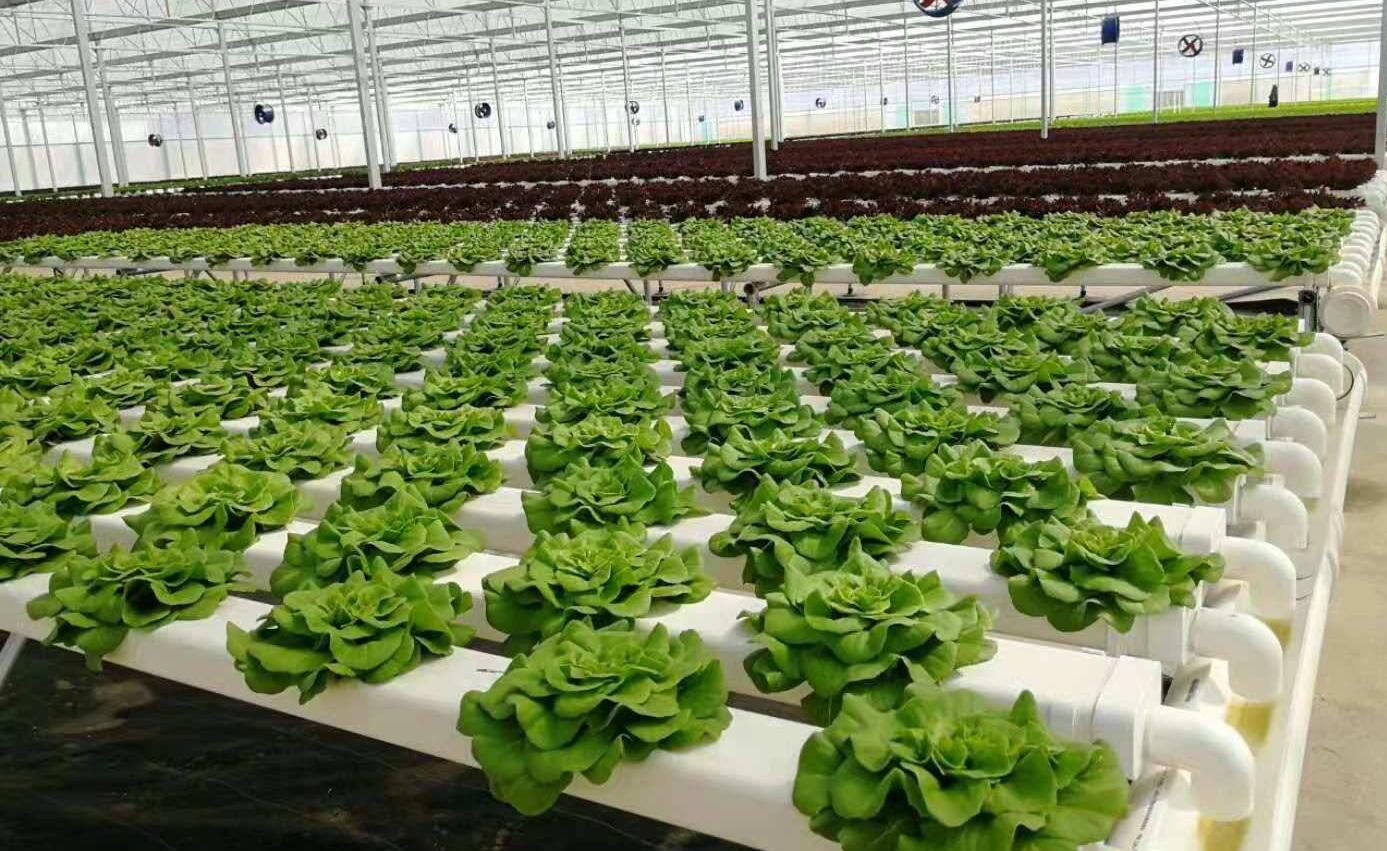 dc92603e690e86e2ccb998147e6f6439.png dc92603e690e86e2ccb998147e6f6439.png