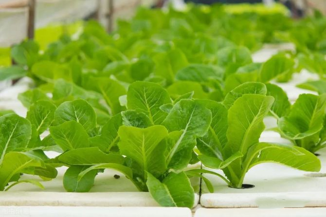 35326a9531de374496a7e61a95044f80.png 35326a9531de374496a7e61a95044f80.png