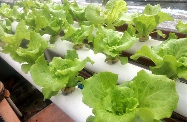 23b4c95ff94c27621d863dc040af78a4.png 23b4c95ff94c27621d863dc040af78a4.png