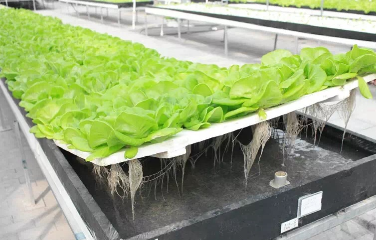 db6b1a45269cd2e26811ed9dc3d77f40.png db6b1a45269cd2e26811ed9dc3d77f40.png