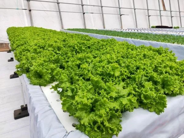 640 (10).png 640 (10).png