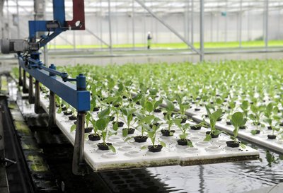 t010e4ccfa14ae4740e.jpg t010e4ccfa14ae4740e.jpg