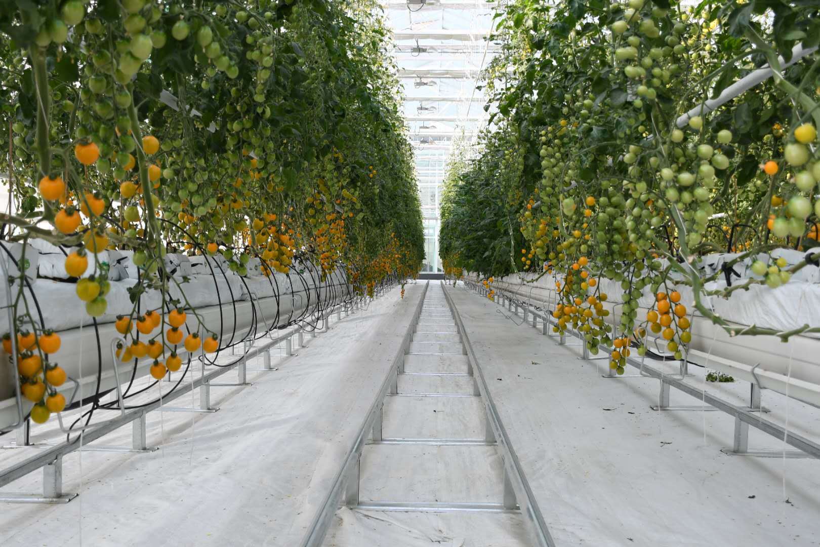 10f77626-400c-44f4-b006-687959508b9c.jpg 10f77626-400c-44f4-b006-687959508b9c.jpg