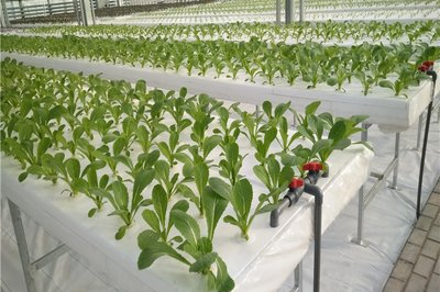 t01d784085e0a4feec8.png t01d784085e0a4feec8.png