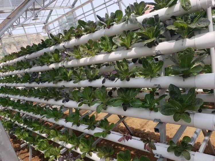 u=285528041,3191896891&fm=199&app=68&f=JPEG.jpg u=285528041,3191896891&fm=199&app=68&f=JPEG.jpg