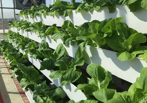 0KzqIvtJD2.png 0KzqIvtJD2.png