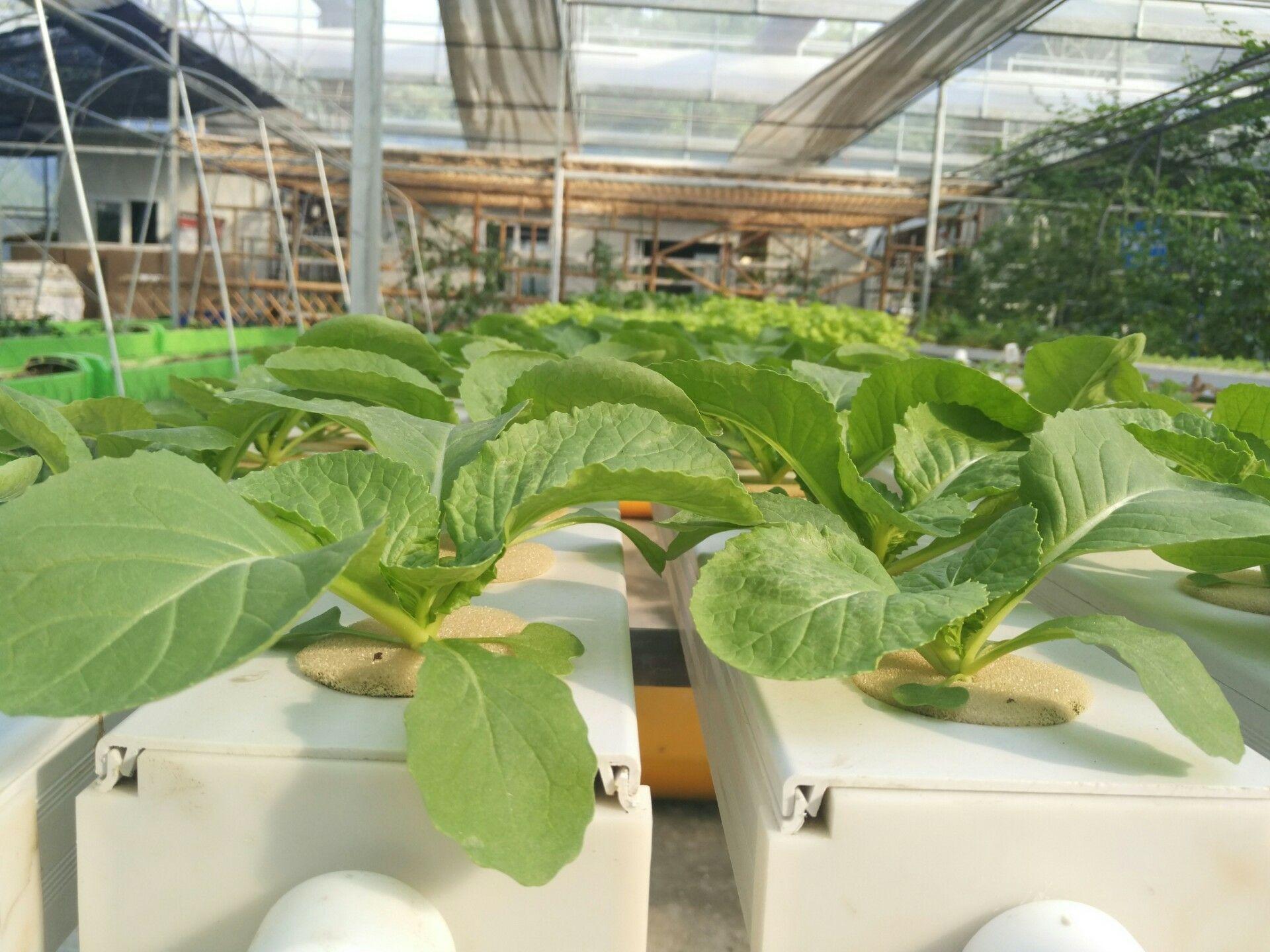 v2-cb7a41563ac339937793ed666f46208a_r.jpg v2-cb7a41563ac339937793ed666f46208a_r.jpg