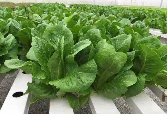 df2ae6c07cef4a469e09e704a2ea09a9_th (1).png df2ae6c07cef4a469e09e704a2ea09a9_th (1).png