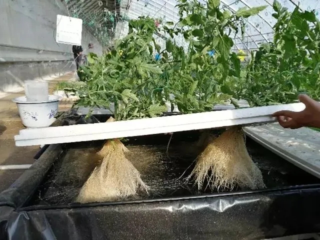 641.webp (1).jpg 641.webp (1).jpg