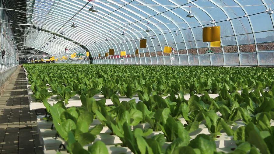 388ae6cd371dd0b3914c51ad35020c0c_00003 (1).png 388ae6cd371dd0b3914c51ad35020c0c_00003 (1).png