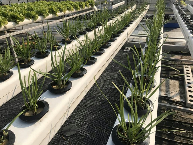 a716dbdd03fe4b9fa8fbcf9293d08980_8.jpg a716dbdd03fe4b9fa8fbcf9293d08980_8.jpg