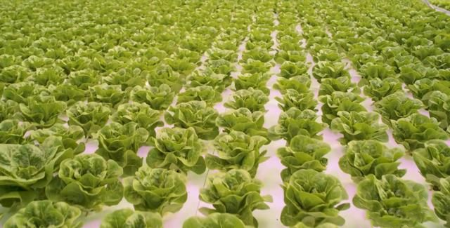 t01fd3bed1765adf7a1.png t01fd3bed1765adf7a1.png