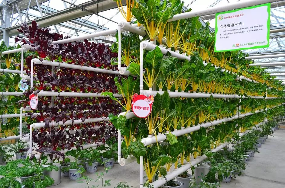 c2d63f78aeb74082910adfa9034c0cd0.png c2d63f78aeb74082910adfa9034c0cd0.png