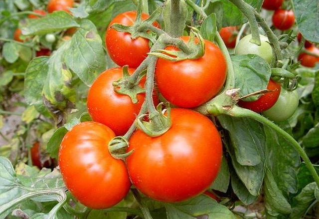 2410574.png 2410574.png