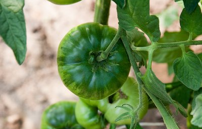 下載0 (108).png 下載0 (108).png