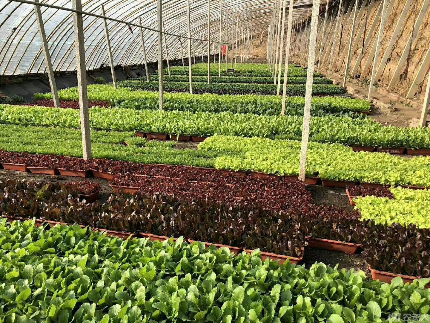 324_334751_d790e46ac78388c.jpg 324_334751_d790e46ac78388c.jpg