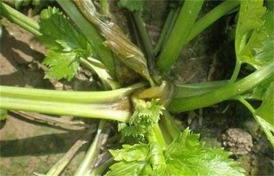 t0161efbd5ca9026d58.png t0161efbd5ca9026d58.png