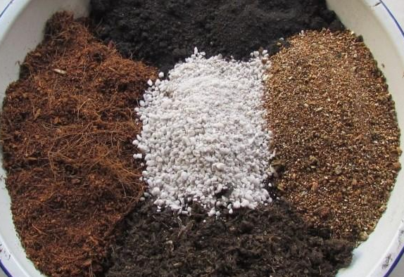 下載0 (10).png 下載0 (10).png