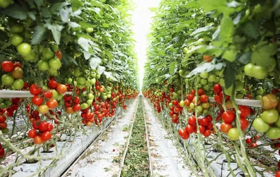 下載0 (81).png 下載0 (81).png