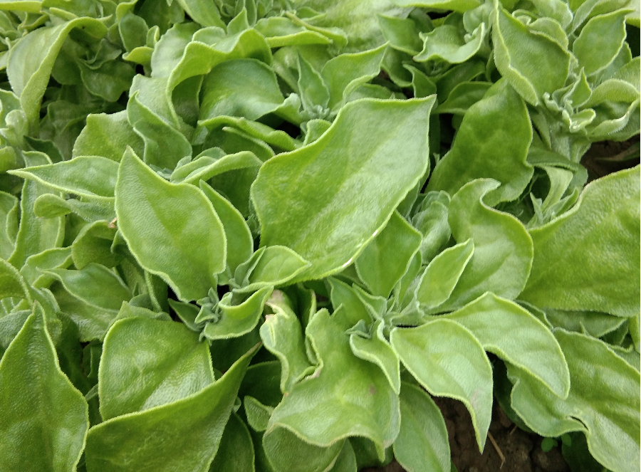 5ac89c6c01da43fa8e08733d698c4b15.png 5ac89c6c01da43fa8e08733d698c4b15.png