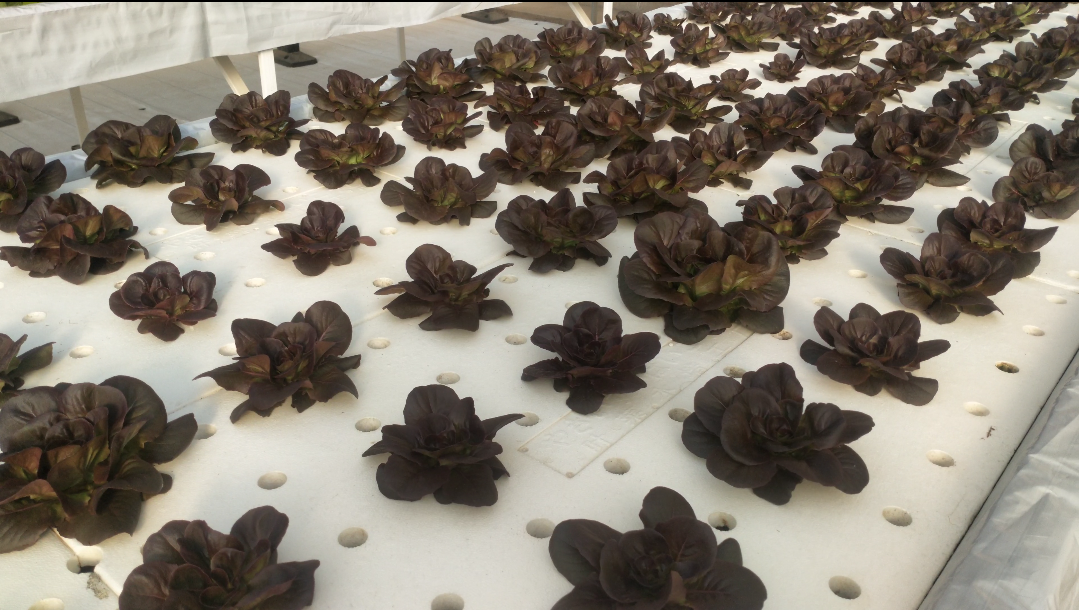 下載0 (95).png 下載0 (95).png