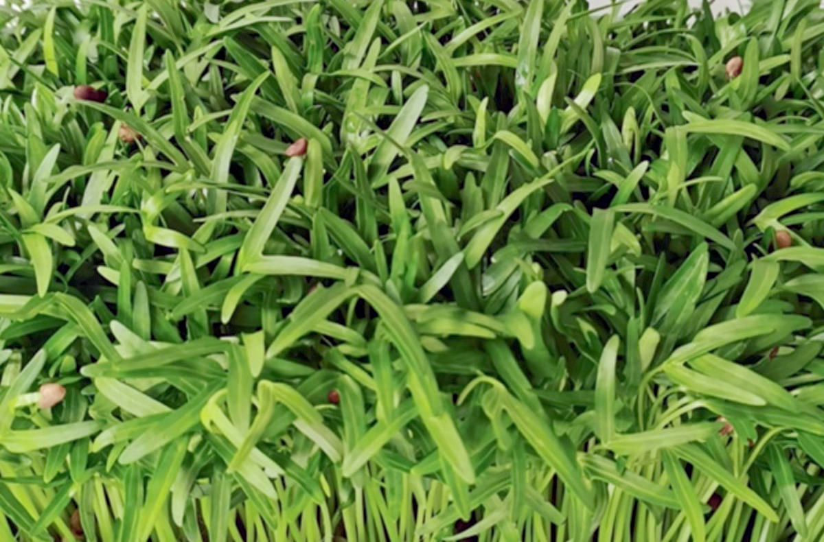 O1CN01hSpCyr1lMHXY2HreF_!!317624804.png O1CN01hSpCyr1lMHXY2HreF_!!317624804.png