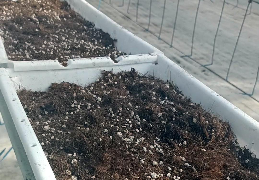 50ab3b89ae9c991cb47229f371643cdc (1).png 50ab3b89ae9c991cb47229f371643cdc (1).png