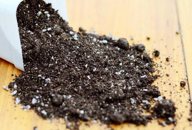 圖 (169).png 圖 (169).png