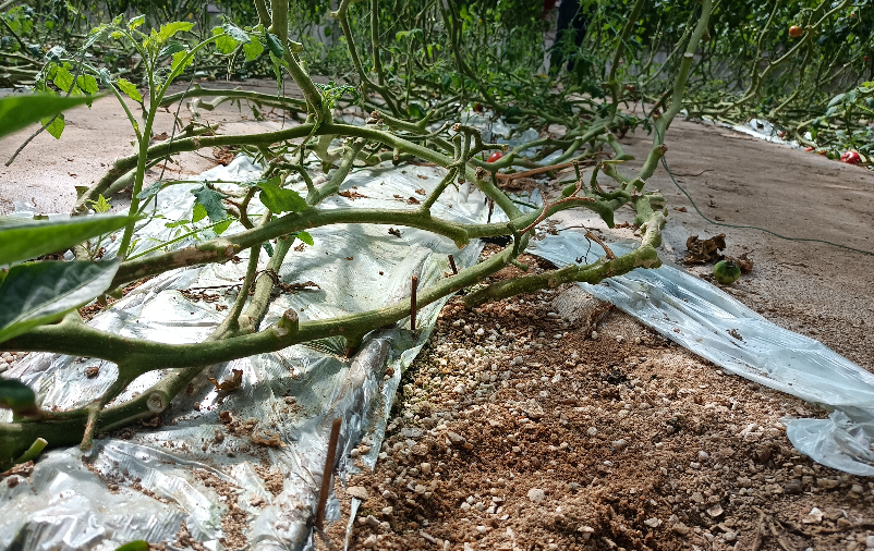 011126.png 011126.png