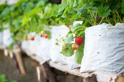 圖 (239).png 圖 (239).png