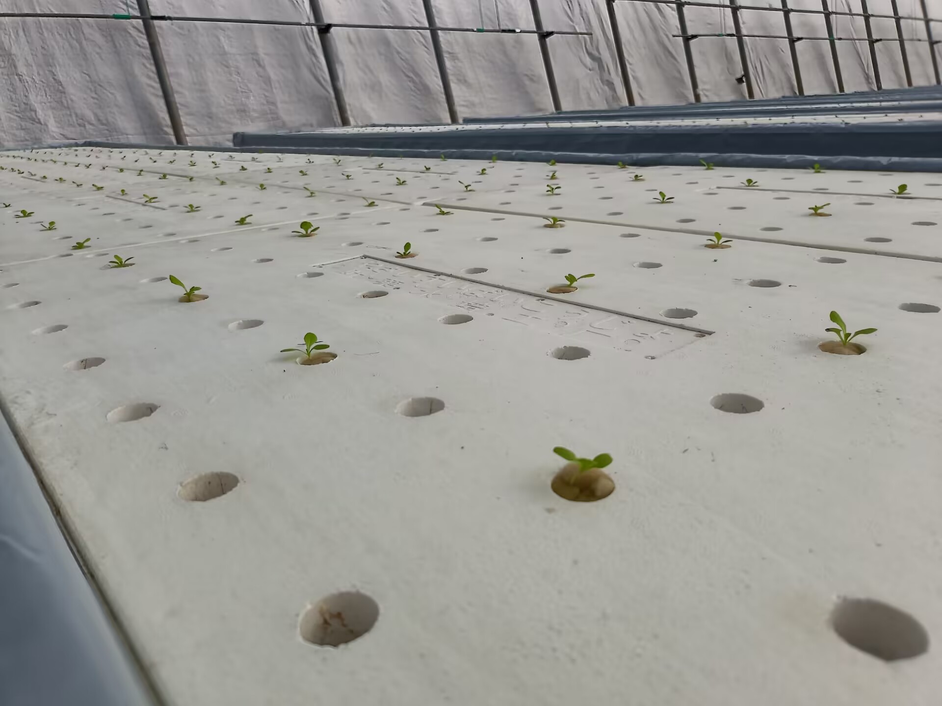 843932BE654D999CFD15096FA595C068.jpg 843932BE654D999CFD15096FA595C068.jpg