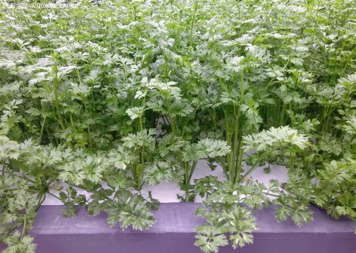 500_fa239921-0541-45e2-a6b0-dbf5540a8b9e.png 500_fa239921-0541-45e2-a6b0-dbf5540a8b9e.png